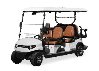 AC Motor Golf Kenderaan Golf Motor VAC