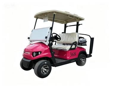 Kereta Golf Twin Seater